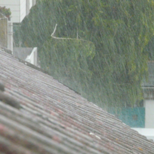 roof inspection west palm beach florida